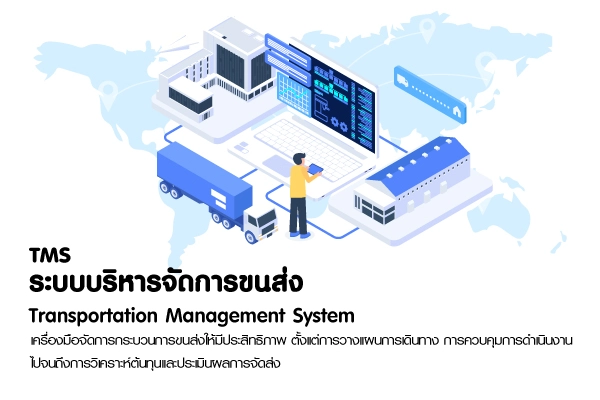 TMS คืออะไร